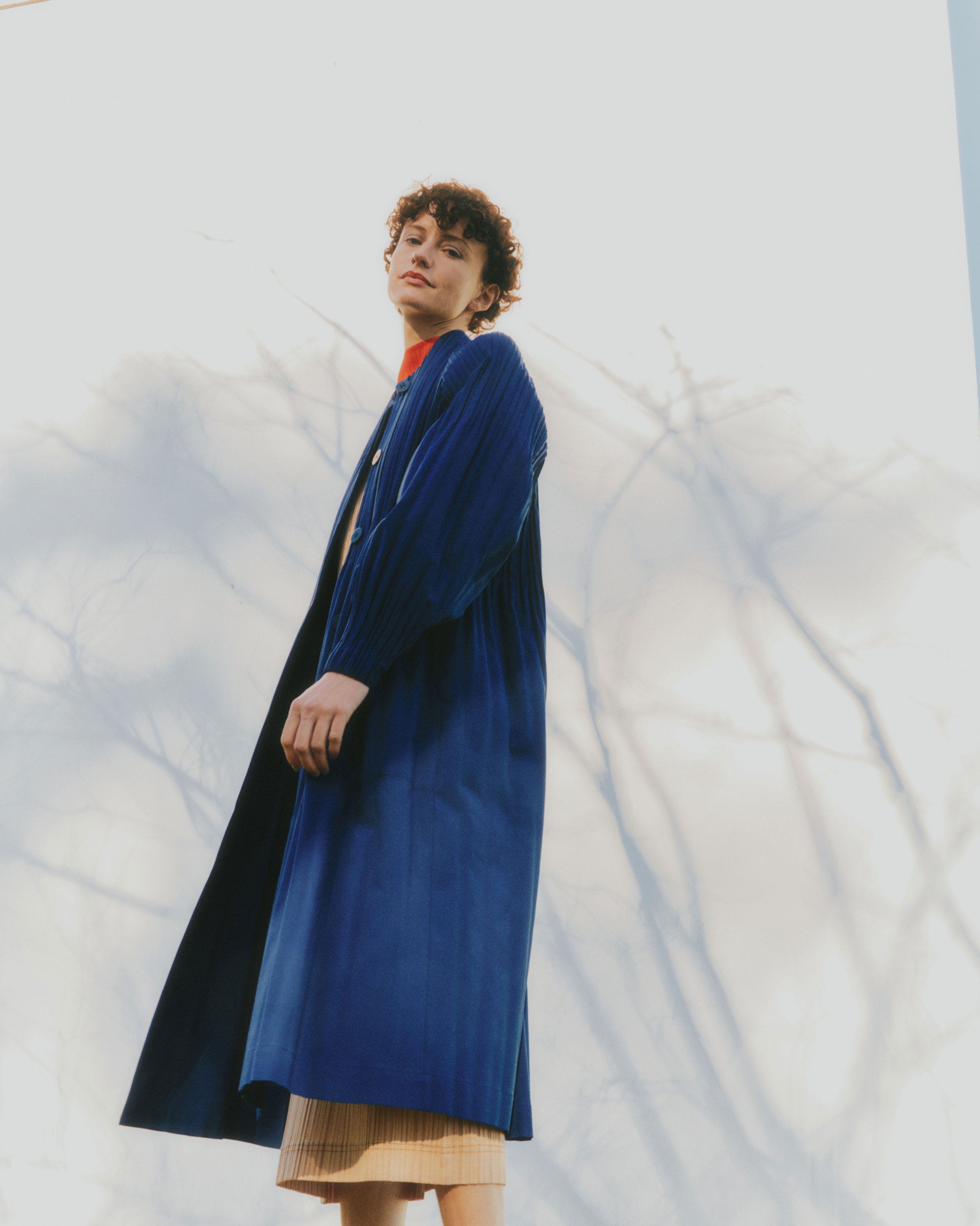 春の扉を開ける、プリーツ プリーズ イッセイ ミヤケの軽快なワード