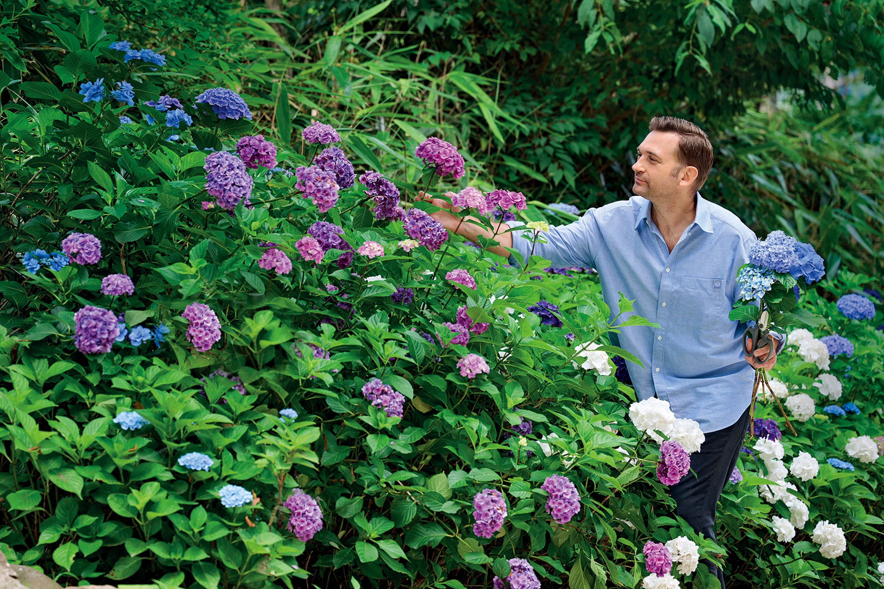 日本の美しい庭園｜ニコライバーグマン箱根ガーデンズbyニコライ