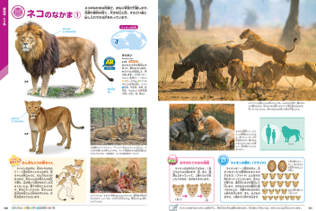 学研の図鑑LIVE（ライブ）『動物 新版』 ｜ 学研出版サイト