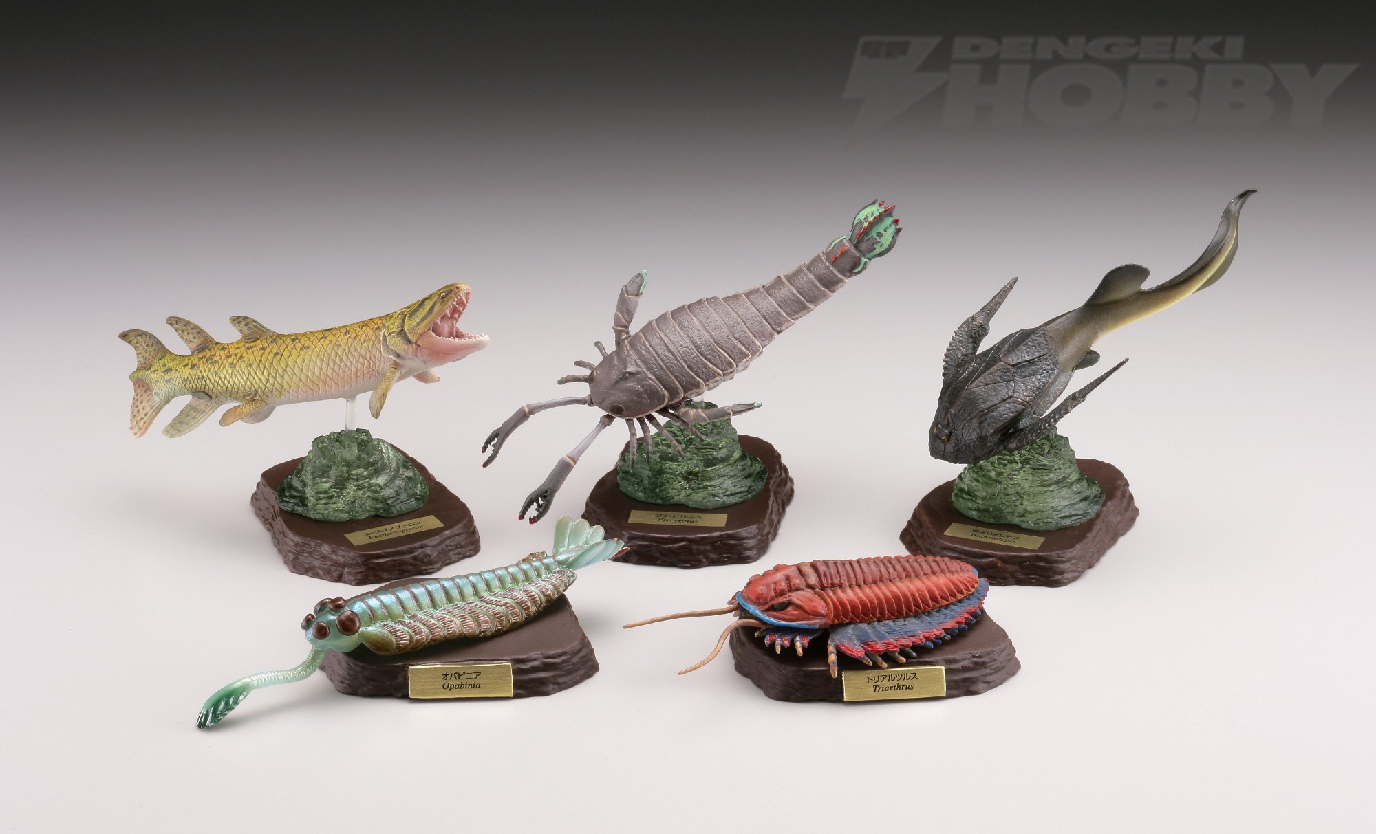 生物マニア大歓喜！ 古生代生物のカプセルフィギュアが海洋堂より登場