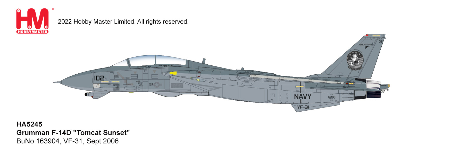 Grumman F-14D 
