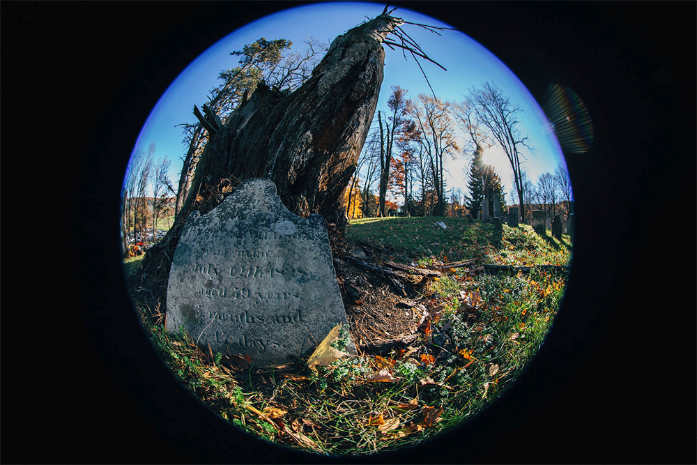 Canon EF 8-15mm f/4L Fisheye USM Review | PCMag