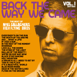 If I Had A Gun - Single by Noel Gallagher's High Flying Birds