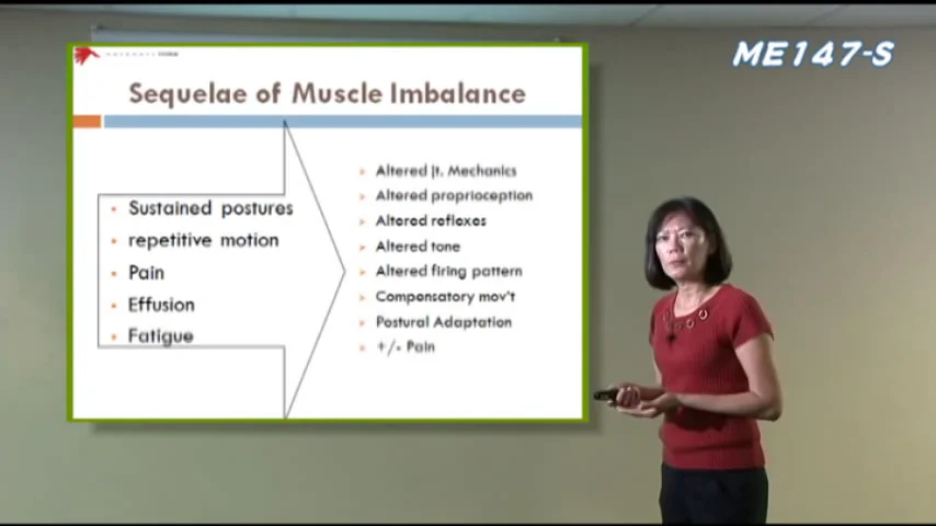 筋骨格疼痛症候群治療のためのヤンダ ・ アプローチ | Kinetikos