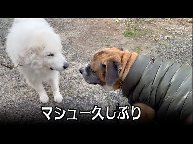 Matthew, long time no see - YouTube