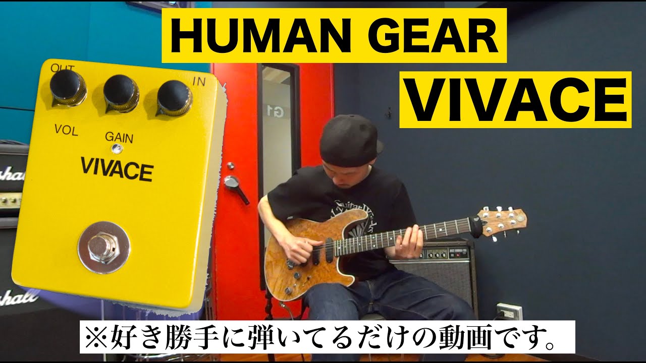 HUMANGEAR VIVACE 箱取説 浅井健一 TAKUYA BLANKEY HUMANGEAR VIVACE