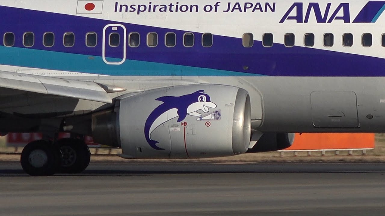 さようなら スーパードルフィン ANA Boeing 737-500 JA306K Landing at