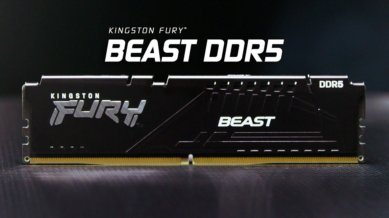 Kingston FURY Beast 32GB DDR5 5600MHz CL36 AMD EXPO Certified Dual