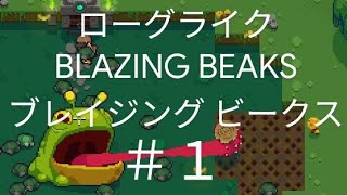 ブレイジング ビークス】BLAZING BEAKS #1 キモカワ激ムズゲーム