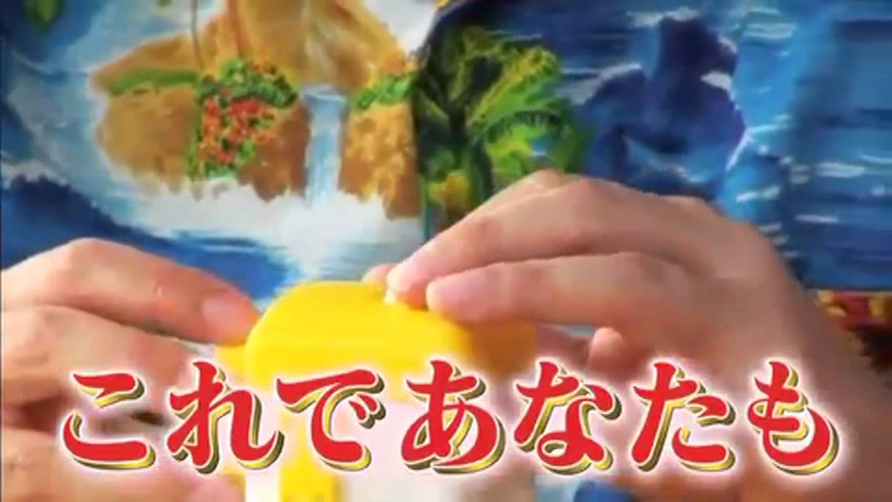 よゐこの無人島0円生活 チネリータ - YouTube