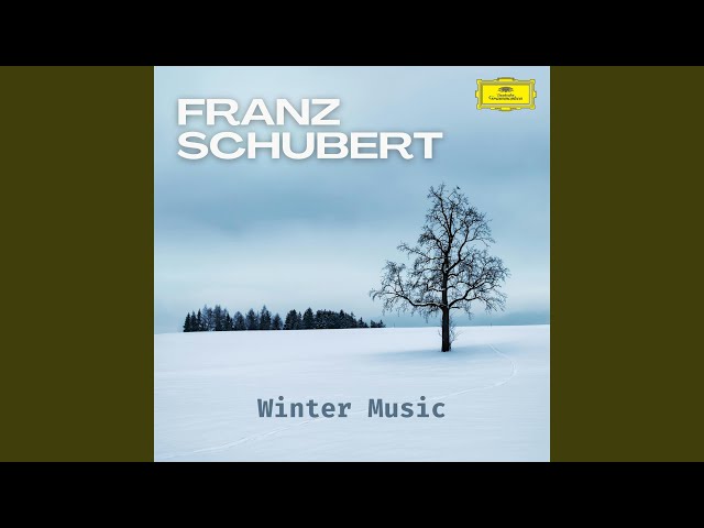 Schubert: Fantasy for Piano 4 Hands in F Minor, D. 940: II. Largo