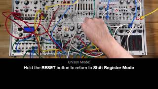 Intellijel Shifty - Eurorack Module on ModularGrid