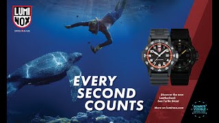 LEATHERBACK SEA TURTLE GIANT 0320 SERIES Ref.0329.1 - LIBERTA