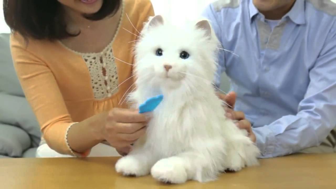 夢ペットシリーズ セガトイズ 『夢ねこセレブ』 ぬいぐるみロボット 1