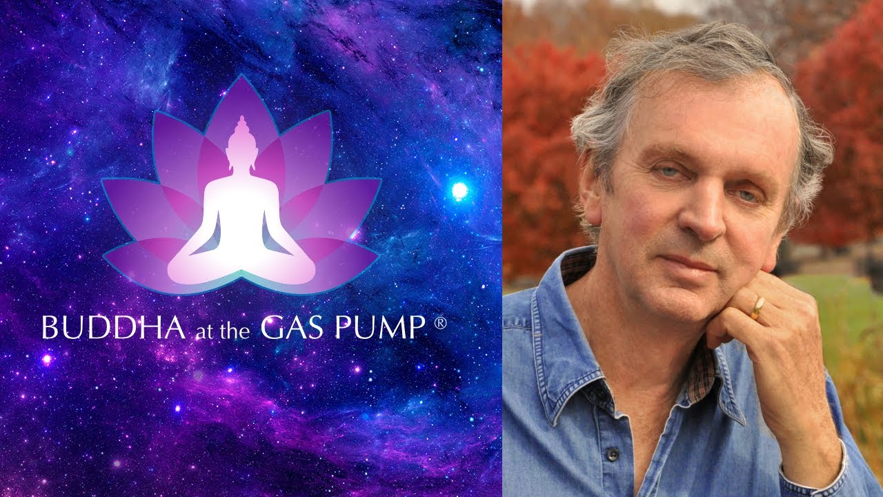 ルパート・シェルドレイクの形態共鳴仮説について - YouTube