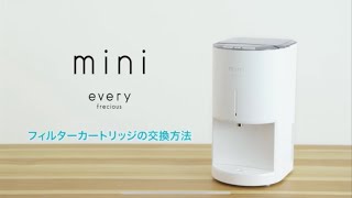 エブリィフレシャス・ミニ（every frecious mini）】フィルター