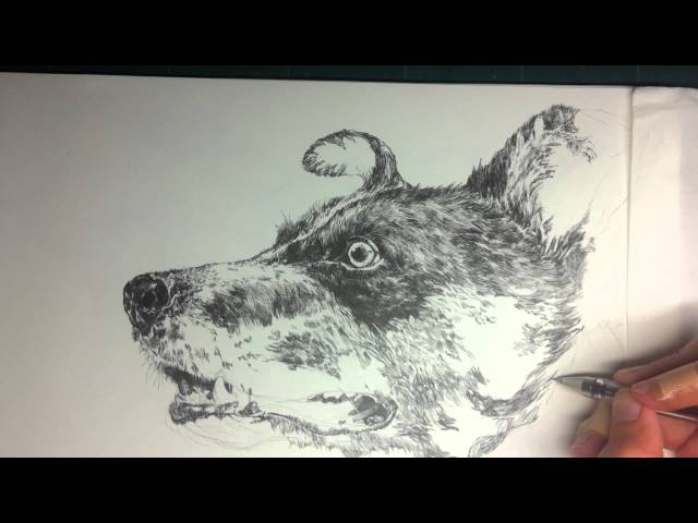 ペン画】犬イラスト - YouTube