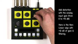 BAM | Umbrella Company | アンブレラカンパニー