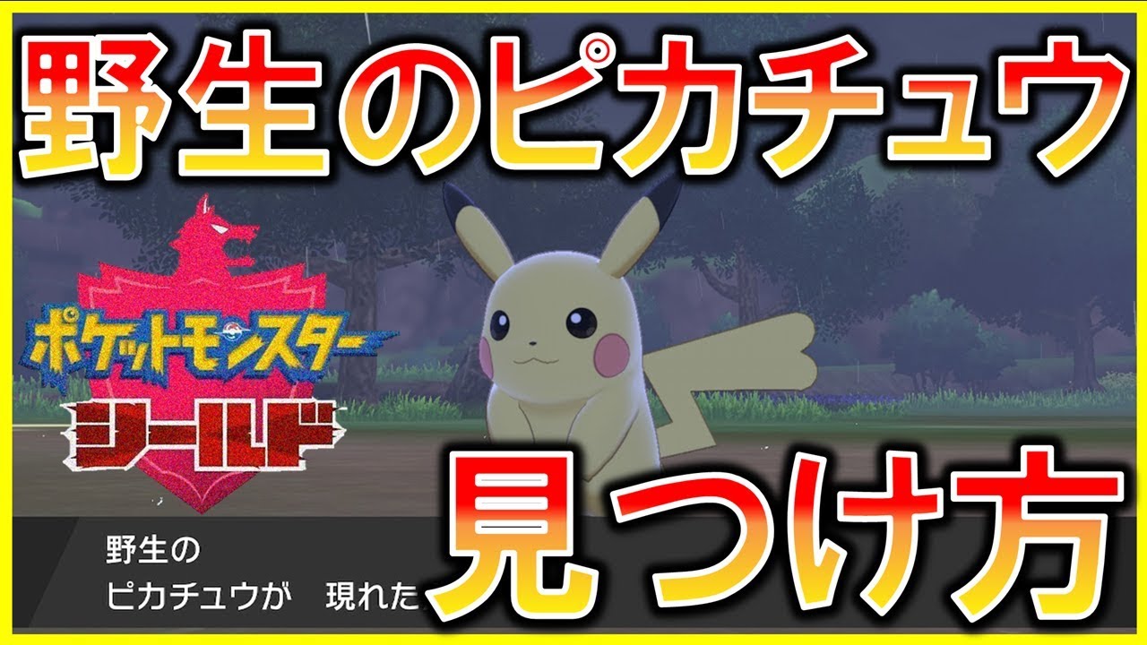 Pokemon Sword and Shield] How to find wild Pikachu [Tips for