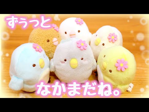 ひよこ？たちが揃いました！映画すみっコぐらし とびだす絵本とひみつ