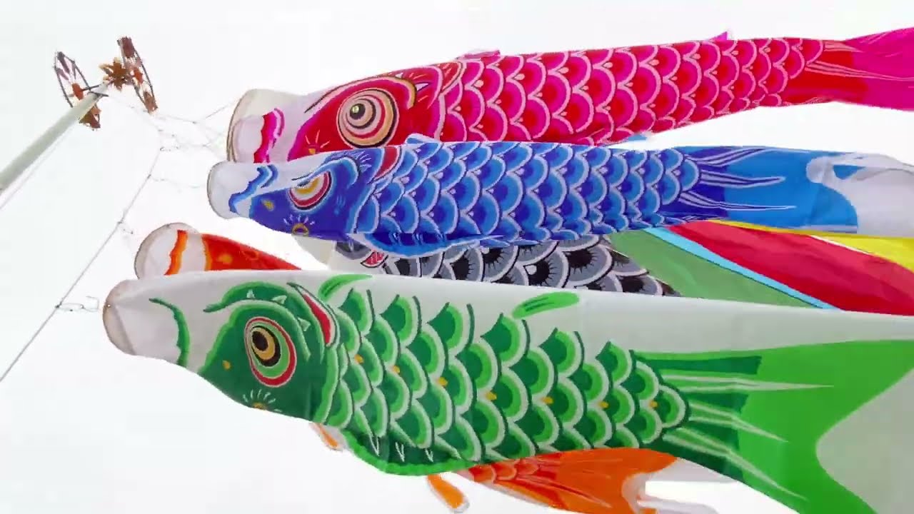 第21弾 あげてみた動画【廃盤・黄金兜鯉】徳永こいのぼり - YouTube