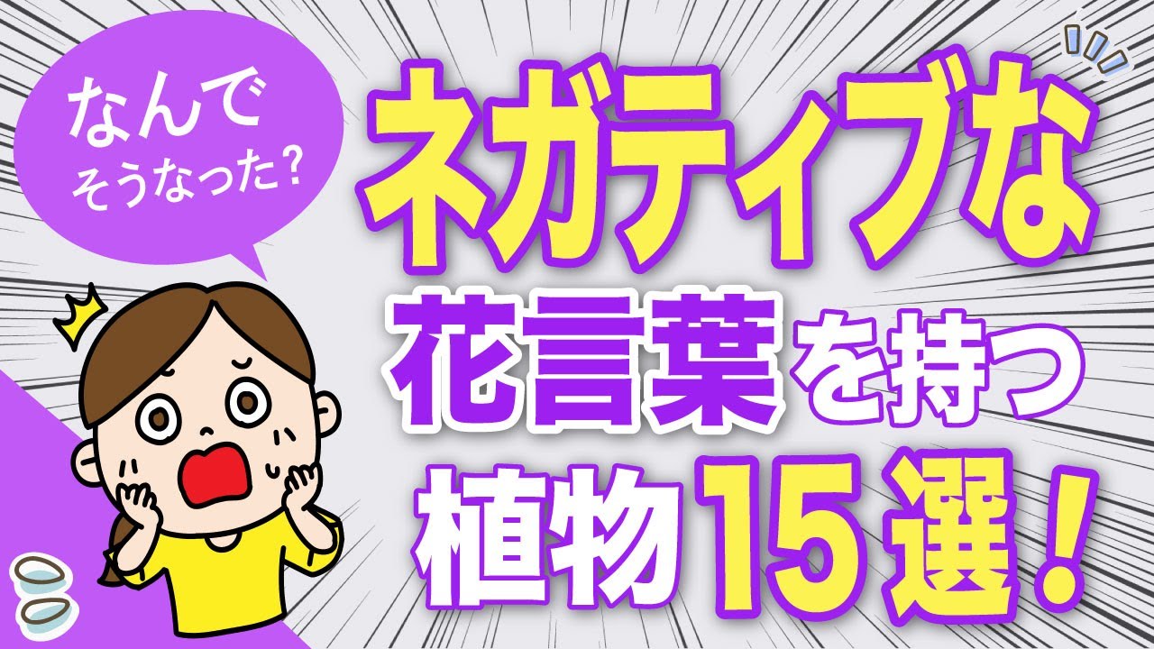 Why is this happening? 15 plants with negative flower meanings