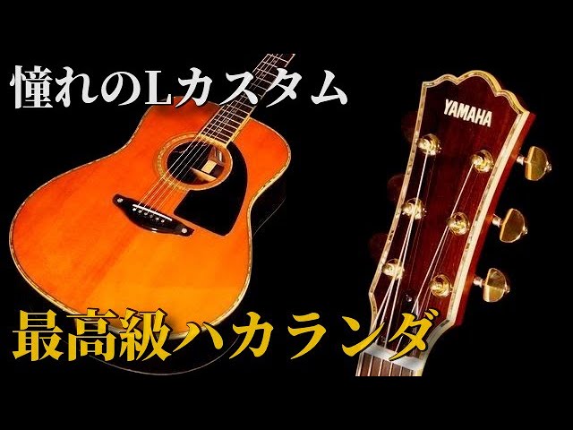 YAMAHA LL-55 DEX】LAヘッドが堪らない！最高級ハカランダの音色とは
