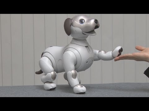 ソニー、新アイボ発売 12年ぶり復活、AIと融合 - YouTube