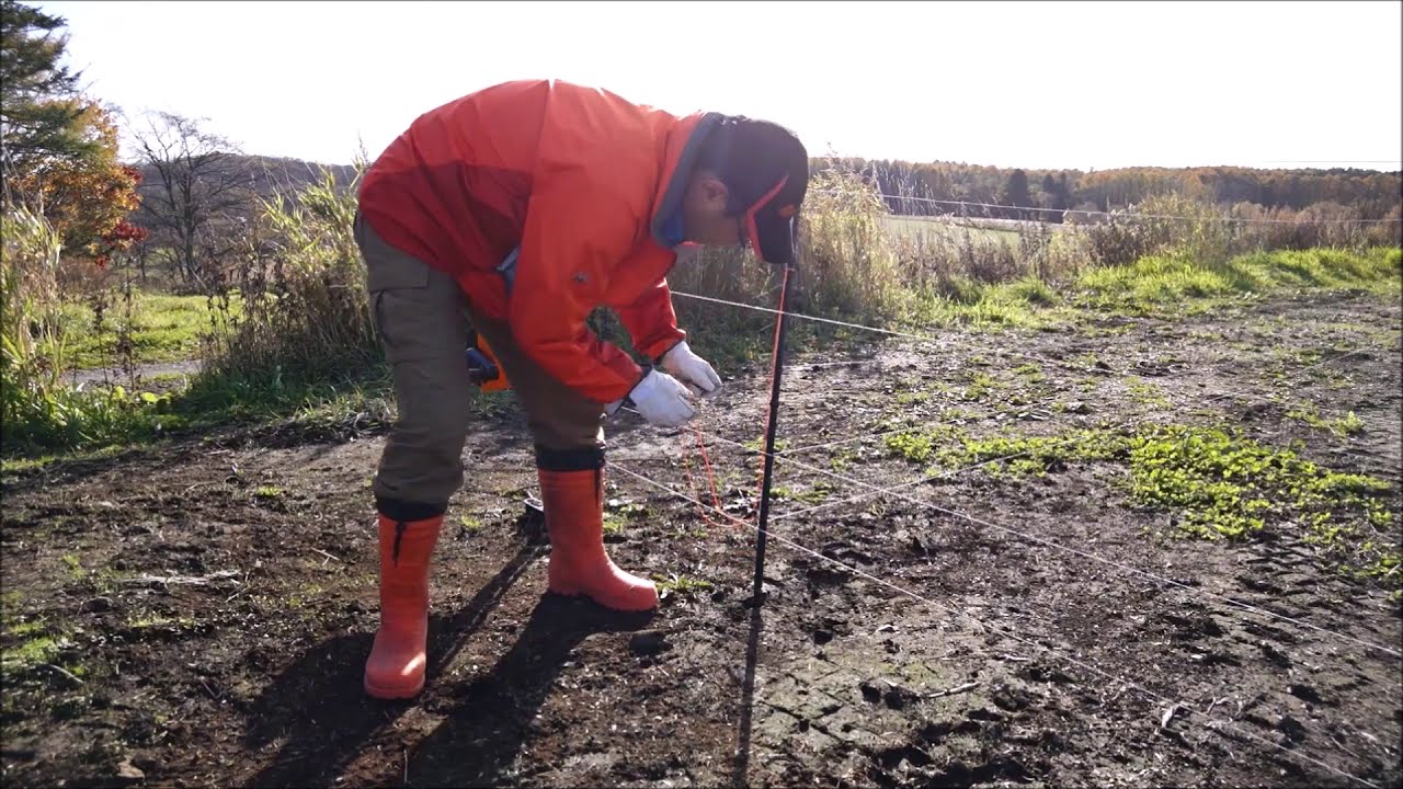 緊急対策に最適 スマートフェンスシステム – サージミヤワキ株式会社