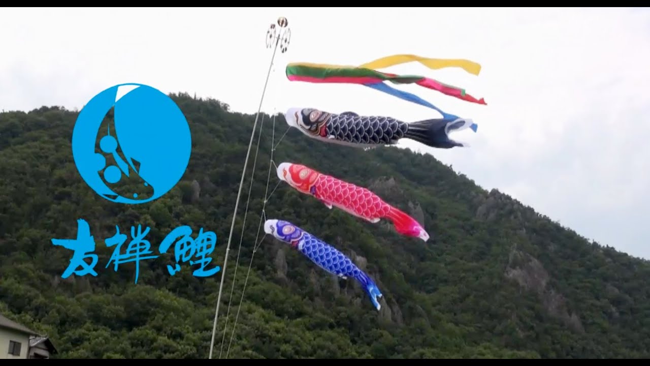 創業1923年 鯉のぼり屋 大型鯉のぼり 友禅鯉
