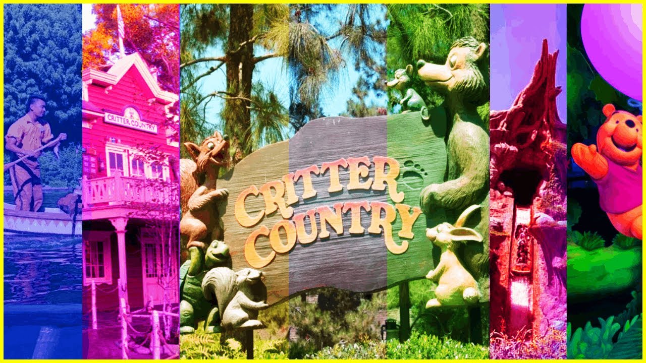Disneyland's CRITTER COUNTRY Read & Ride Secrets! Tour the Land