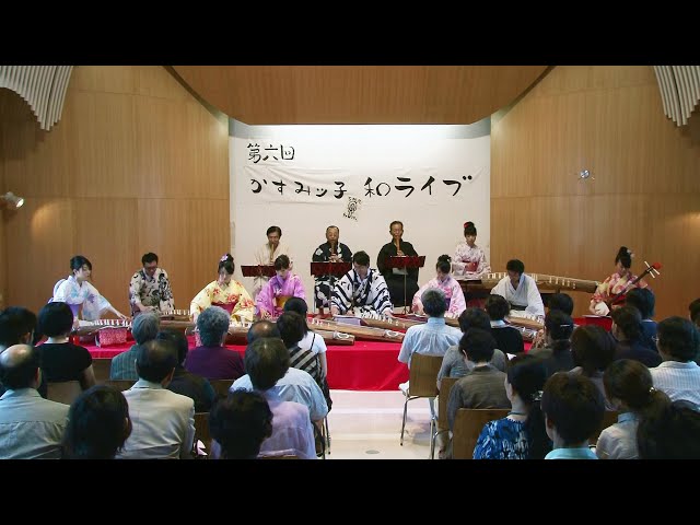 箏koto】 日本の四季Four seasons in japan @user-gy1tb7dn5o @user