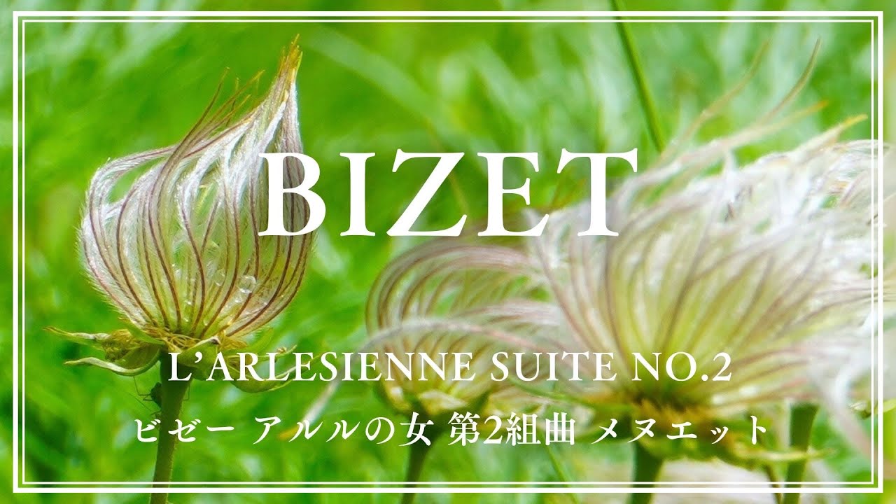 名曲】ビゼー アルルの女 第2組曲 メヌエット/ Bizet L'Arlesienne
