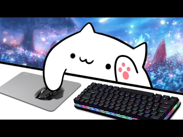 Answering Questions About Bongo Cat V2 (OBS, Streamlabs, Ect