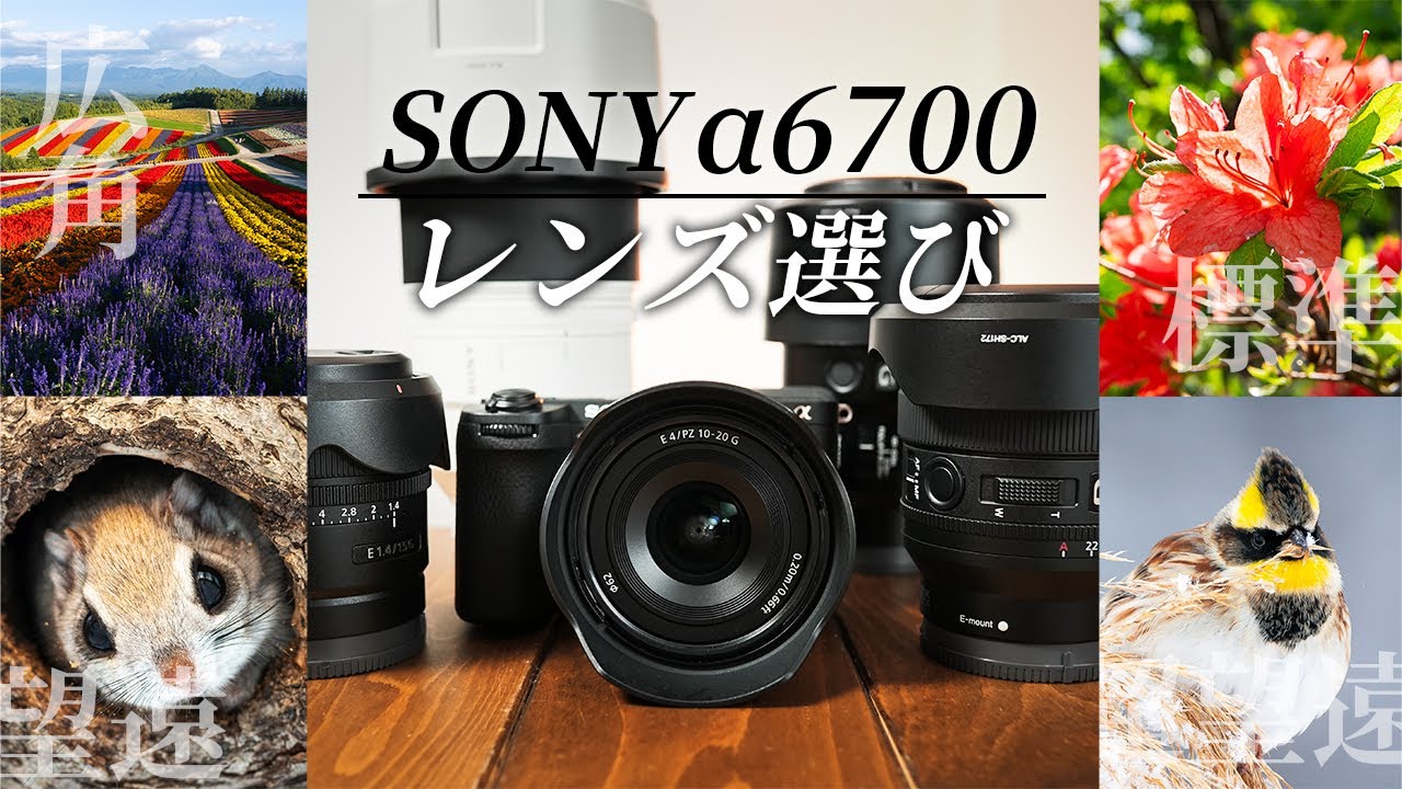 SONY標準ズームレンズSEL18-55mm F3.5-5.6を使ってみた！サングラスも