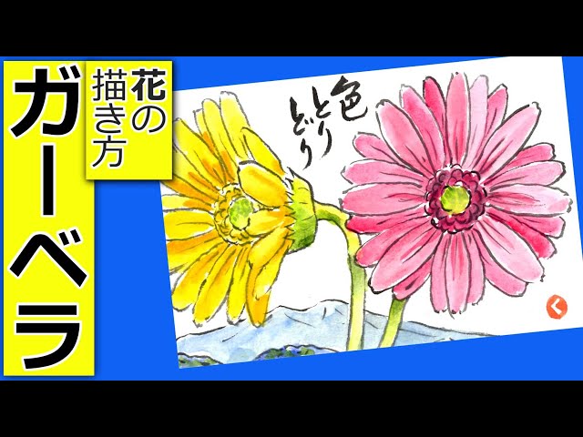 How to draw a gerbera flower 🌼│Gardening picture letter sketch