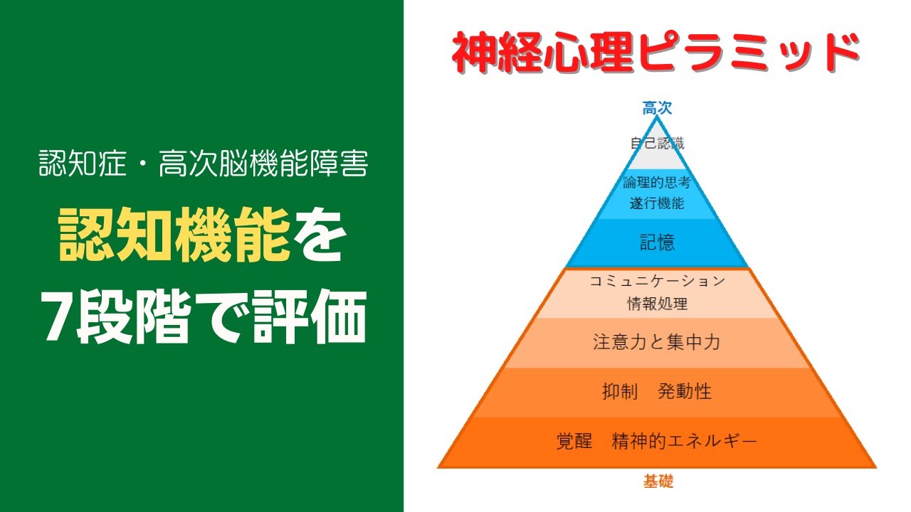 認知機能を7段階で評価する！神経心理ピラミッドとは！？ - YouTube