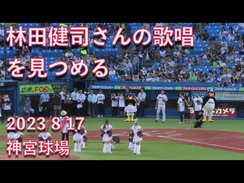 つば九郎、林田健司さんのWe are the swallowsの歌唱を見つめる 2023/8