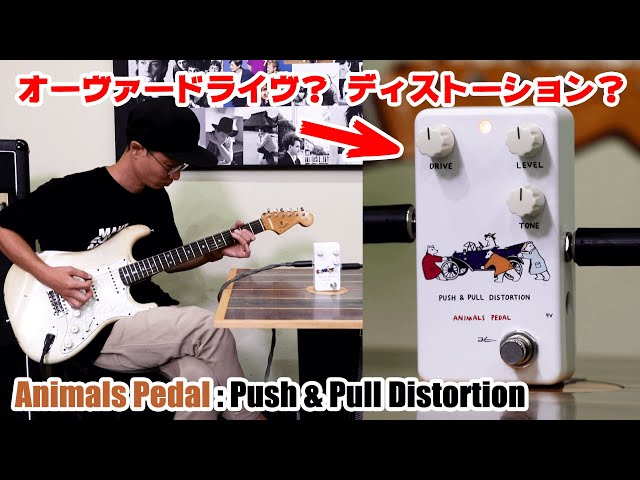 Animals Pedal Push & Pull Distortion: Cute and powerful sounding