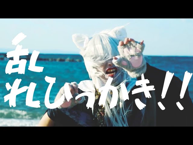 −真天地開闢集団−ジグザグ「拙者忍者、猫忍者。〜木天蓼三毛蔵と町娘