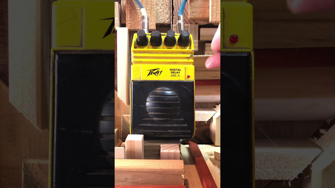 Vintage '80s PEAVEY Digital Delay Pedal DDL-3 Accelerator Series