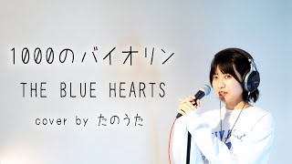 1000のバイオリン / THE BLUE HEARTS cover by たのうた - YouTube