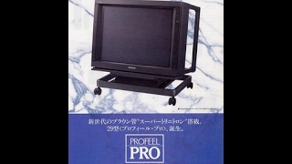 SONY PROFEELPRO KX-29HV3 SDCRT Air 鳥の詩 スーパートリニトロン管