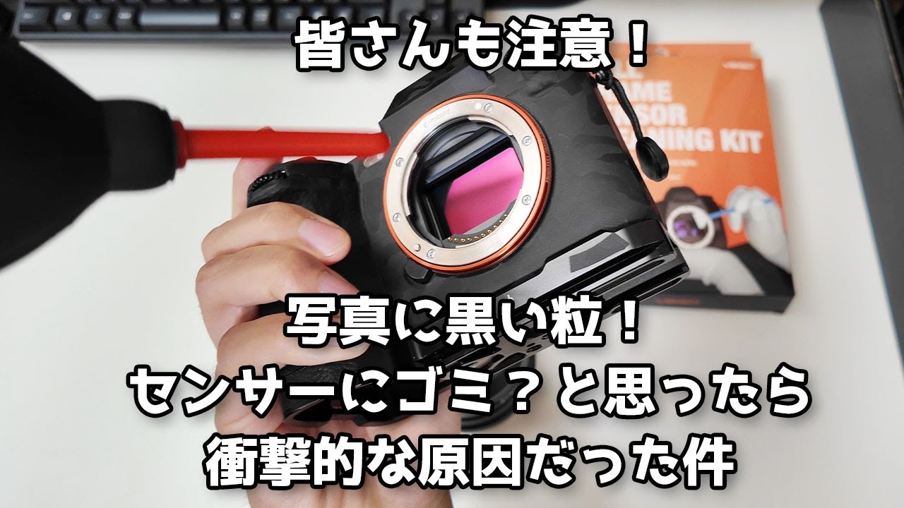 注意喚起】写真に黒い粒が！センサーのゴミかと思ったらまさかの衝撃的