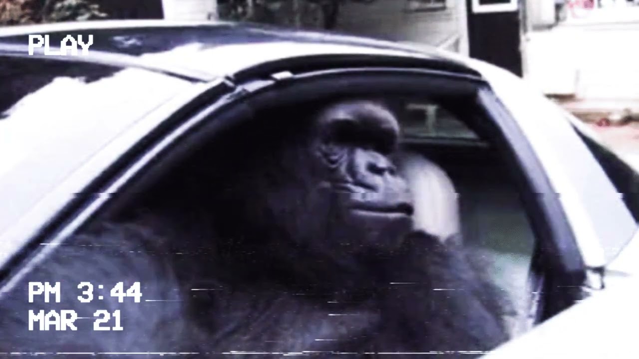 RADICALS - gorilla in the coupe (Single 2023) - YouTube
