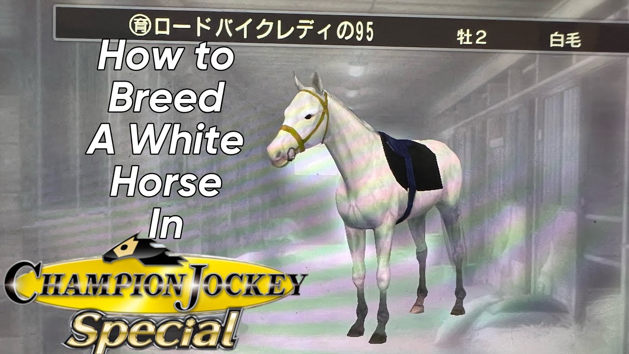 Champion Jockey Special Shenanigans チャンピオンジョッキー