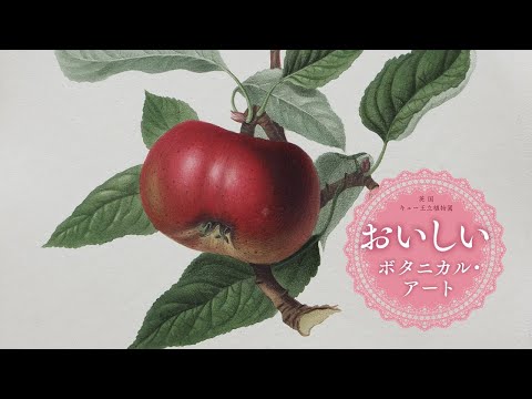 おいしいボタニカル・アート」展 紹介動画 - YouTube