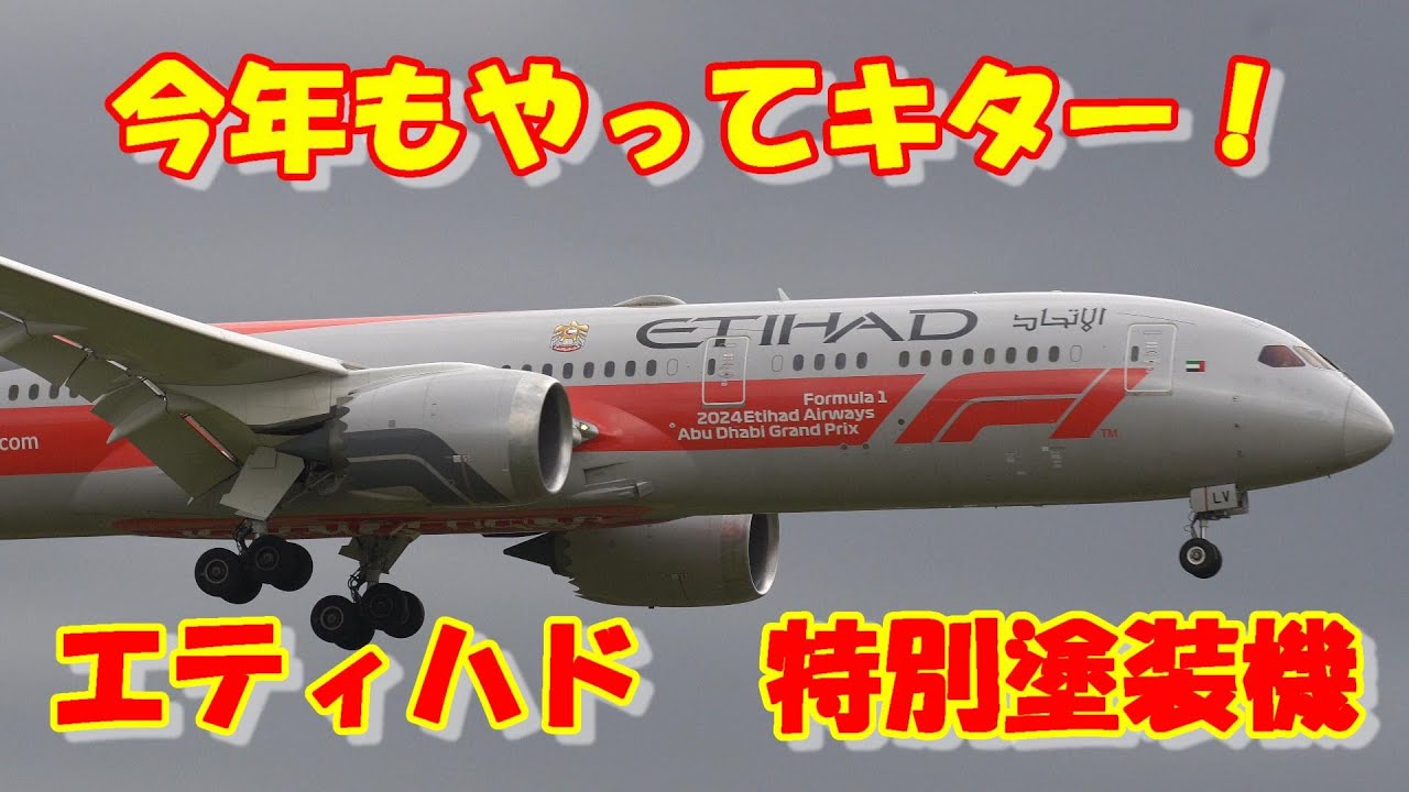 今年もエティハド航空の特別塗装機がやってキター！】 2024.10.27 4K