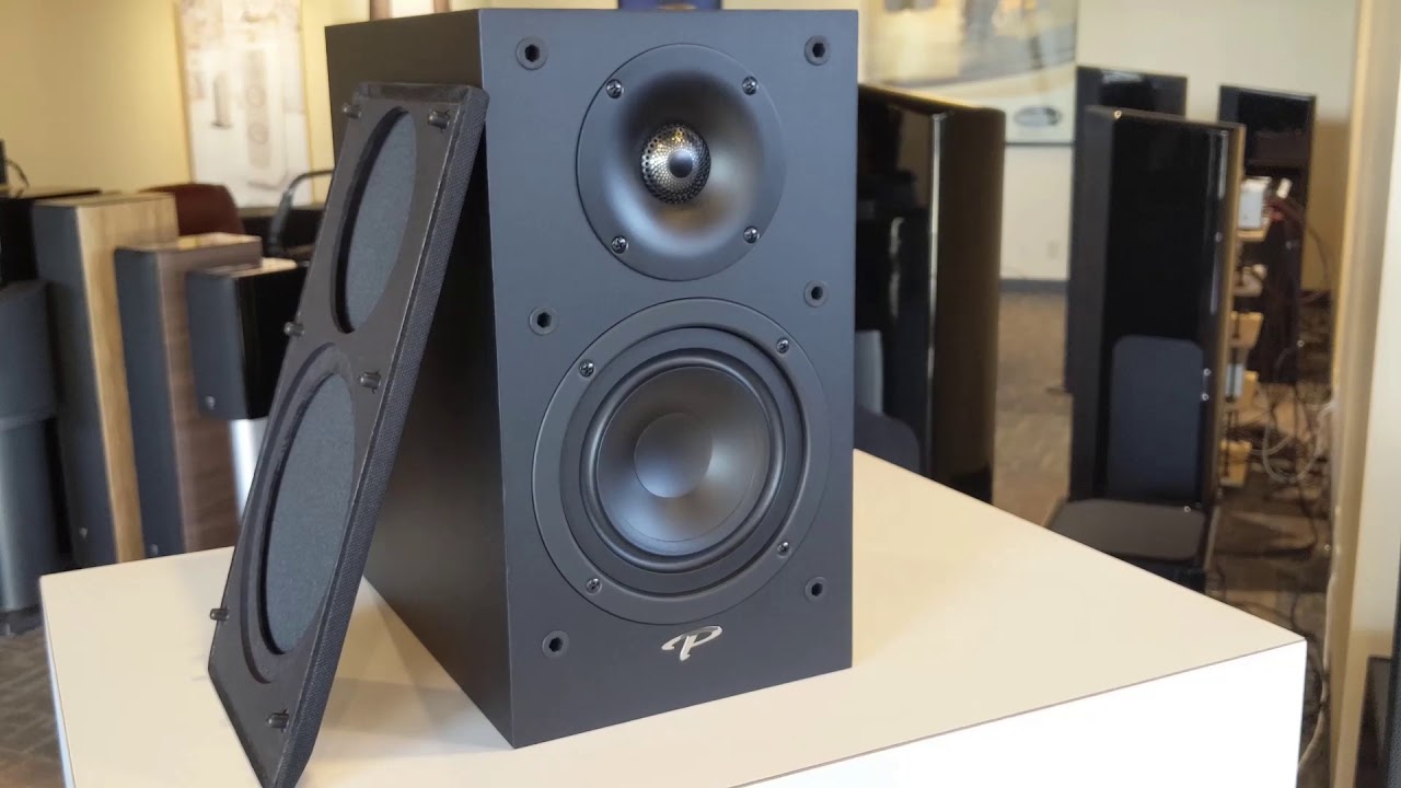 Paradigm Monitor SE Atom Overview - Best Budget Speaker? - YouTube