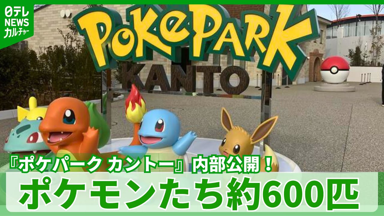 Around 600 Pokémon are in the 